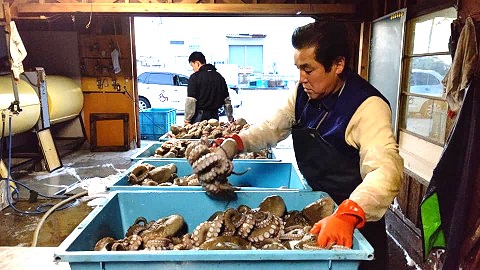 志村水産(いすみ市大原)