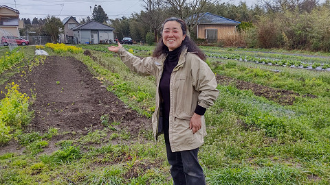 自然栽培サミー畑(いすみ市岬町桑田)